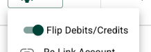 Flip Debits/Credits Switch